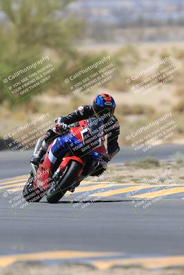 media/May-14-2023-SoCal Trackdays (Sun) [[024eb53b40]]/Turn 5 Tree of Life (1125am)/